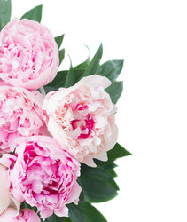 Similar image 13215722