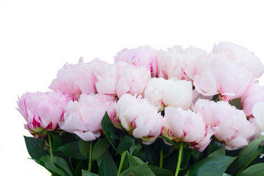 Similar image 13215972