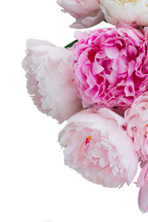 Similar image 13216147