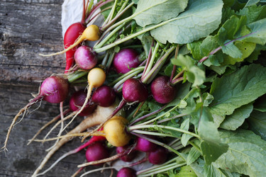 Similar image 13209794