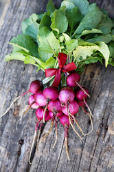 Similar image 13209795