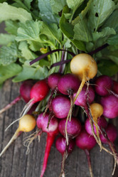 Similar image 13209839