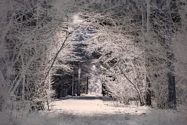 Similar image 13197209