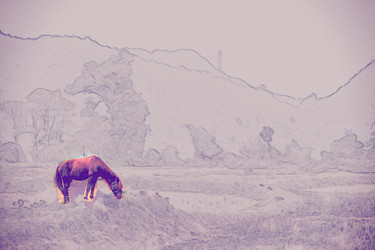 Similar image 13196920