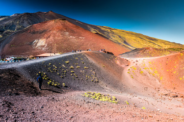 Similar image 13197163