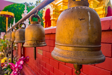 Similar image 13197217