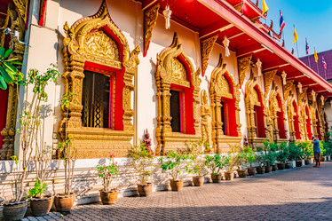 Similar image 13197218