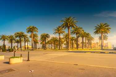 Similar image 13197222