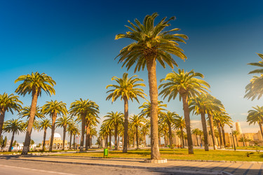 Similar image 13197223