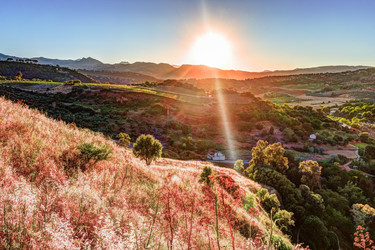 Similar image 13197235