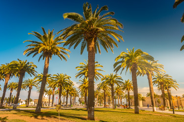 Similar image 13196907