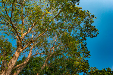 Similar image 13196935