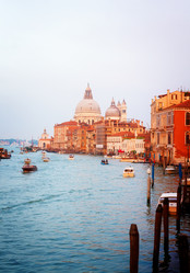 Similar image 13216771