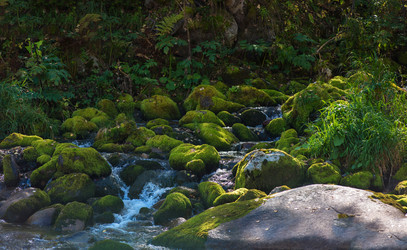 Similar image 13198896