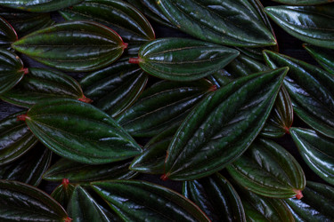 Similar image 13215616