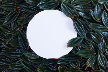 Similar image 13215617