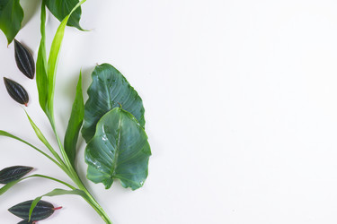 Similar image 13215725