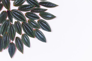 Similar image 13215726