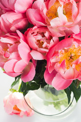 Similar image 13216093