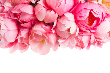 Similar image 13216094