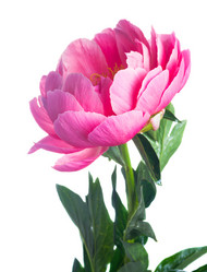 Similar image 13216148