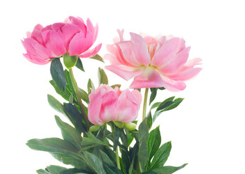 Similar image 13216189