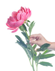 Similar image 13216190