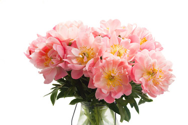 Similar image 13216252