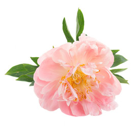 Similar image 13216344