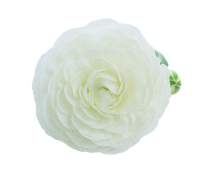 Similar image 13216463