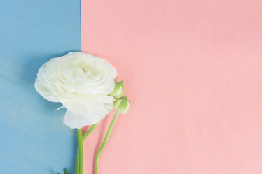 Similar image 13216490