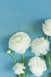 Similar image 13216519