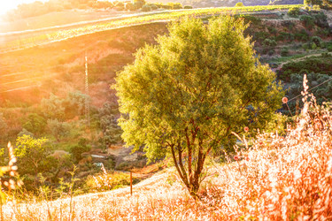 Similar image 13197184