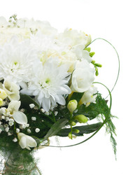 Similar image 13215870