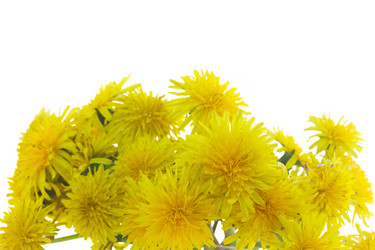 Similar image 13215871