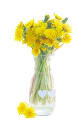 Similar image 13215886