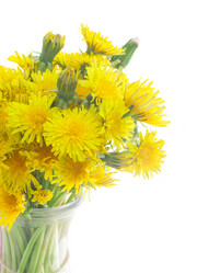 Similar image 13215887