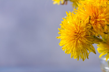 Similar image 13215914