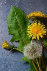 Similar image 13215956