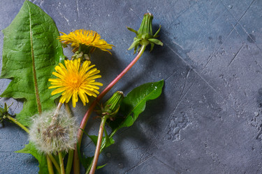 Similar image 13215975