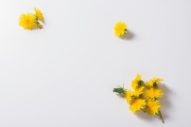 Similar image 13216253