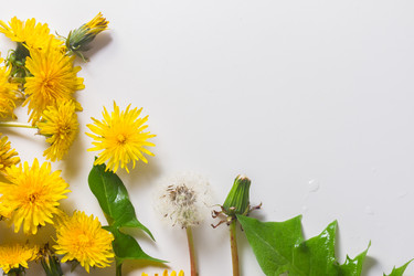 Similar image 13216464