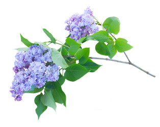 Similar image 13216830