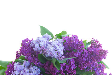 Similar image 13216831