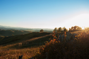 Similar image 13199017