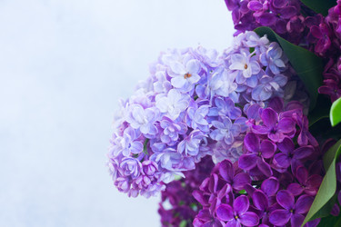 Similar image 13217184