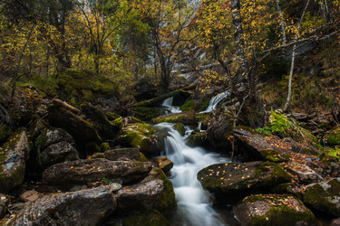 Similar image 13199096