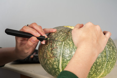 Similar image 13198683