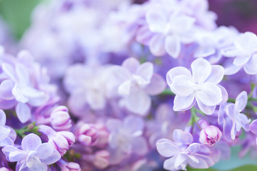 Similar image 13215654