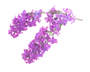 Similar image 13215691